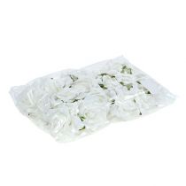 Product Foam rose Ø 7.5cm white 18 pcs