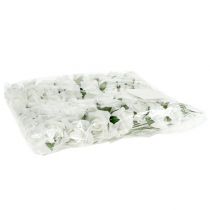 Product Foam Rose Ø 3.5cm white 48 pcs