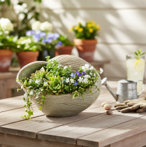 Product Ceramic bowl with seashell design for elegant decoration in the living room, 23cm
