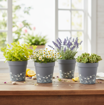 Product Flower pot with floral pattern for modern home and summer balcony decoration, 13cm, 4 pieces