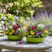 Product Planting tray for attractive plant decoration in the living room, 29cm, 2 pieces