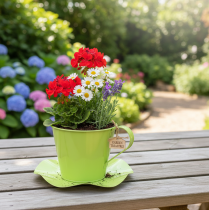 Product Decorative tea cup metal with plate light green Ø12 H10cm 8 pcs