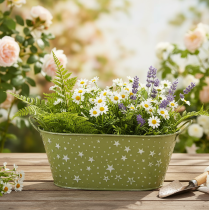 Product Oval metal bowl with stars and handles, green, 31×16cm, H12.5cm