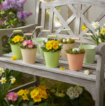 Product Bucket with handle primrose pot metal pastel 11.5×8.5cm 8 pcs