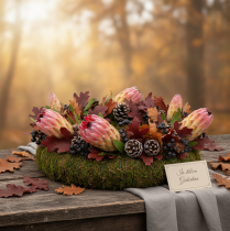 Product Compacta Pink 25 St