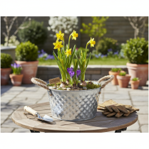 Product Zinc bowl, decorative bowl, metal with rope handle, Ø22cm H12cm