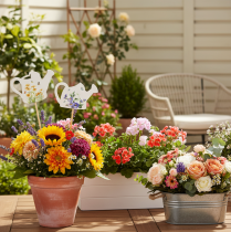 Product Watering can decorative stakes for flower bouquets and balcony flower decoration, 34cm, 12 pieces