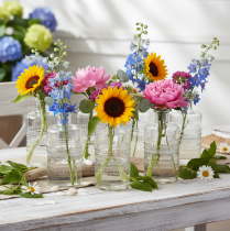 Product ProductName  
Set of 6 Clear Glass Cylindrical Decorative Vases with Pattern – 15cm  

ProductDescription  

<h2>Set of Clear Decorative Glass Vases for Stylish Home Decoration</h2>  

<p>These clear cylindrical glass vases with intricate patterns are a v