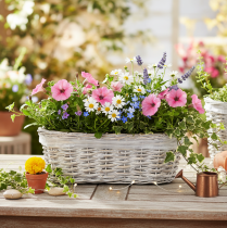 Product White Oval Wicker Plant Basket with Liner 37cm