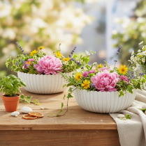 Product Ribbed White Round Decorative Bowl for Indoor Use 15cm Set of 2
```html
<h2>Decorative White Bowl for Home Interior Styling</h2>
<p>
This ribbed white round bowl is a perfect addition to your home decor. Made from lightweight plastic with a stylish ribbe