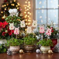Product Wooden Pig Plant Sticks 31cm, Set of 16, Multicoloured Designs