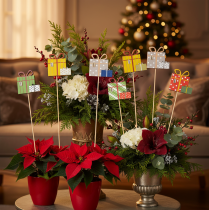 Product Wooden Gift Box Plant Sticks Set – 31cm, Multicolored, 12 pcs