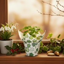 Product Paper Plant Pot Cover with Clover Design, 12cm, Set of 12