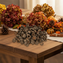 Product Natural Acorn Caps for Crafting and Decoration, 2cm, 300g