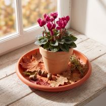 Product "Linda" saucer Ø20cm terracotta
