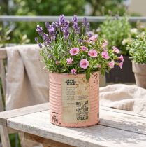 Product Flower pot decorative can salmon metal summer decoration Ø11cm H10.5cm