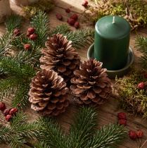 Product Natural Maritime Pine Cones - 12-13cm Decorative Set of 3