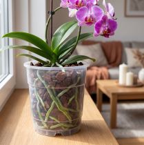 Product Plant pot for orchids transparent Ø15cm 10pcs