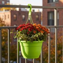 Product Hanging basket 25cm green