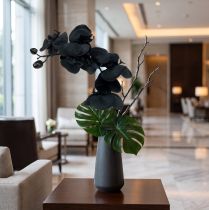 Product Orchid to decorate Black 54cm