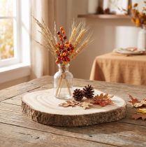 Product Paulownia tree slice Ø20-25cm natural decorative wooden slice