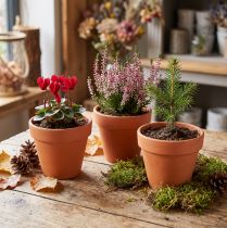 Product Clay flowerpot Ø9cm high 8cm 10pcs