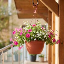 Product Hanging basket Ø30cm terracotta