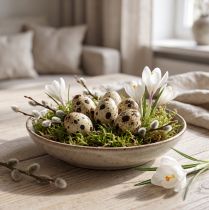 Product Quail eggs as decoration, empty, natural, 50 pieces