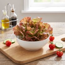 Product Artificial Salad Lollo Rosso Decorative Lettuce Head Ø20cm