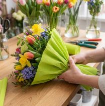 Product Florist crepe paper May green 50x250cm