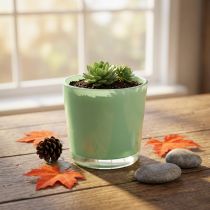 Product Glass pot Ø10cm H8.5cm mint green