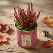 Product Plant pot, decorative pot, round, purple, metal, vintage decoration, Ø8cm, H7.5cm