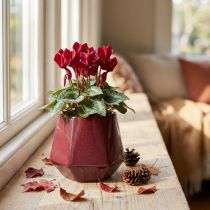 Product Flower Pot Ceramic Planter Red Hexagonal Ø10cm H9cm