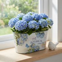 Product Flower bowl oval hydrangeas plastic bowl 21.5×12.5cm H11cm
