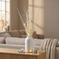 Product Mitsumata branches white 34-60cm 12 pcs