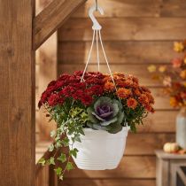 Product Hanging basket Ø30cm white