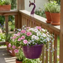 Product Hanging basket 25cm purple