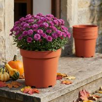 Product Plant Pot Plastic Ø26cm 10pcs
