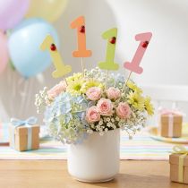 Product Number plug birthday 1 flower plug wood 27,5cm 16 pcs