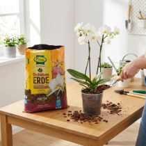 Product FRUX Soil Orchid Soil (5 Ltr.)