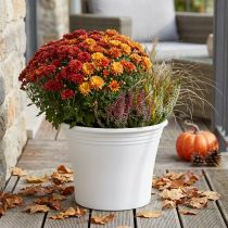 Product Plastic pot “Irys” white Ø29cm H24cm 1 pc