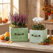 Product Planter wooden drawer light green 15x15/12x12cm set of 2