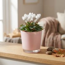 Product Flowerpot glass planter pink glass bucket Ø10cm H8.5cm