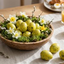 Product Quail Egg 3cm Yellow Blown Out Eggs 50 Pcs