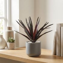 Product Aloe Vera artificial purple 26cm