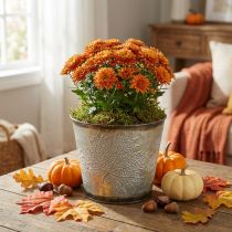 Product Plant bucket with leaf decoration, metal vessel, autumn golden Ø18cm H17cm
