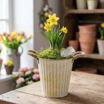Product Metal pot, spring decoration, planter with handles, yellow, shabby chic, Ø18cm, H17.5cm