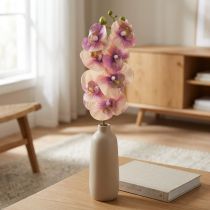Product Orchid Phalaenopsis artificial 7 flowers violet cream 73cm