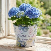 Product Planter plastic flower pot summer hydrangeas Ø16.5cm H13.5cm