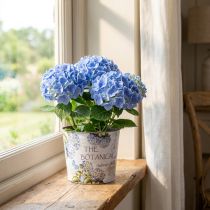 Product Planter plastic hydrangea flowerpot Ø13.5cm H12cm
